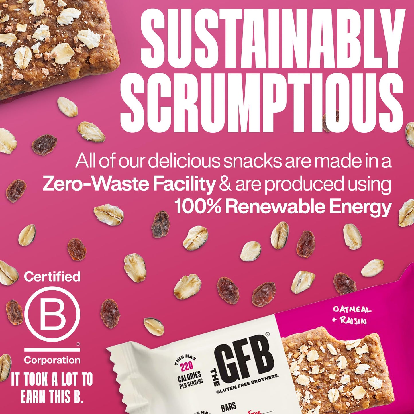 The GFB Oatmeal Raisin Protein Bars - Gluten Free, Plant Based, Non GMO, Sustainably Made - Ridiculously Tasty, Healthy, Vegan, Nutrition Snack