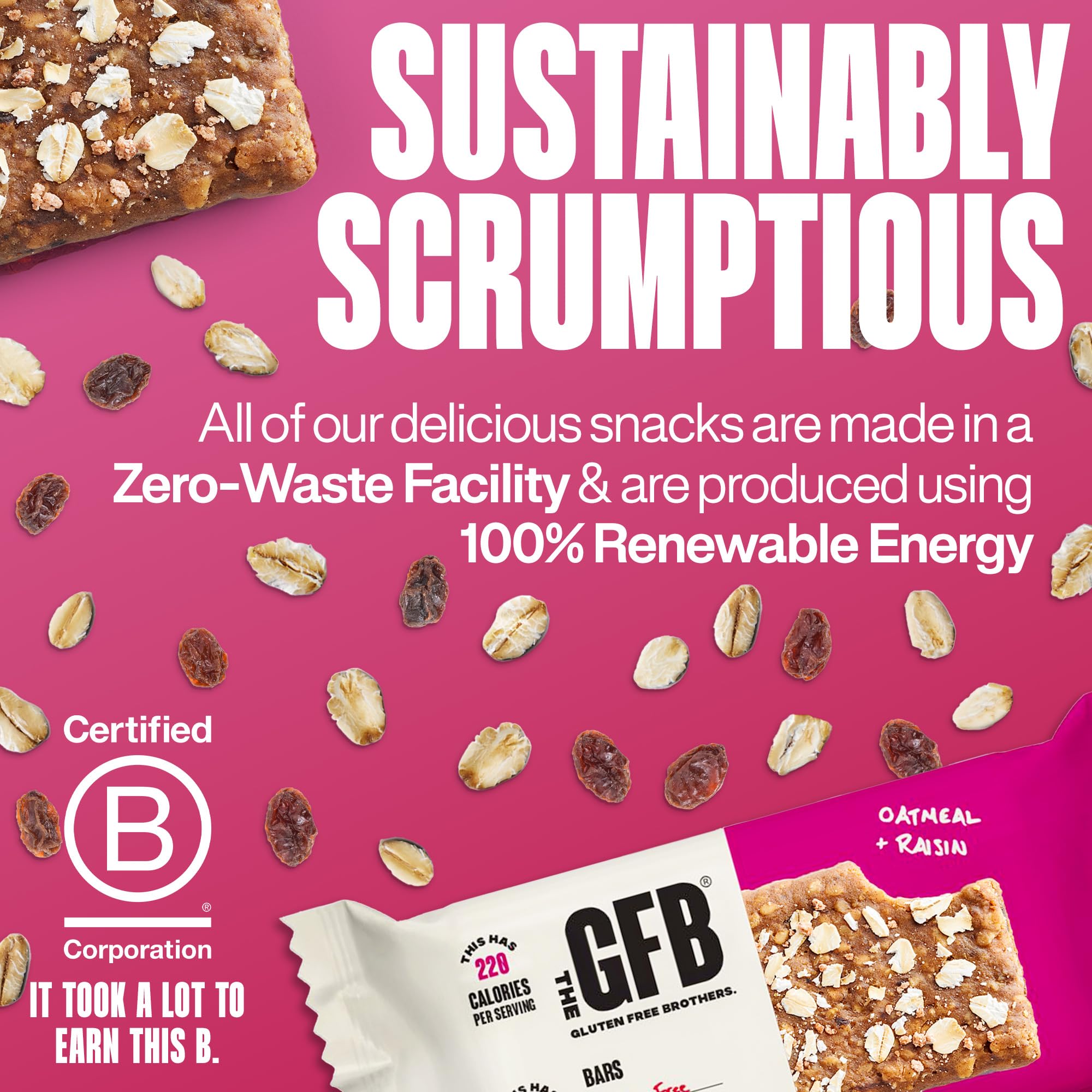 The GFB Oatmeal Raisin Protein Bars - Gluten Free, Plant Based, Non GMO, Sustainably Made - Ridiculously Tasty, Healthy, Vegan, Nutrition Snack