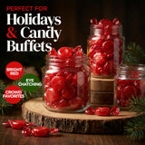 Cinnamon Discs Hard Candy, 1 lb. Bag Individually Wrapped, Old Fashioned Cinnamon Candy, Bulk Hard Candy for Candy Dish, Office Candy Bowls, Parties