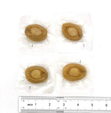 Greenlike Ready to Eat Dried Abalone Snack ???? ?? ?? (Spicy)
