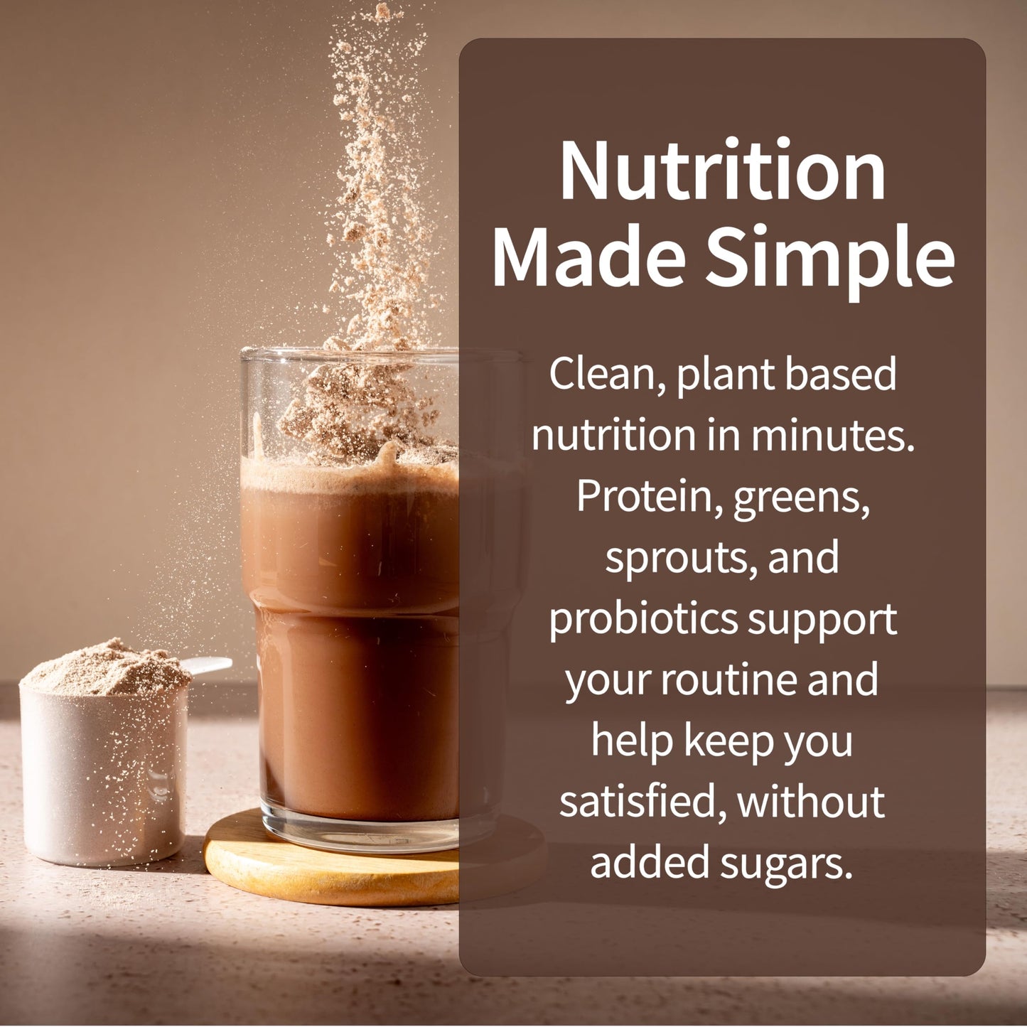 Garden of Life Meal Replacement Shakes, Raw Organic, Chocolate Protein Powder with Plant Based Pea Protein, Sprouts, Greens, Probiotics, Dairy Free 14