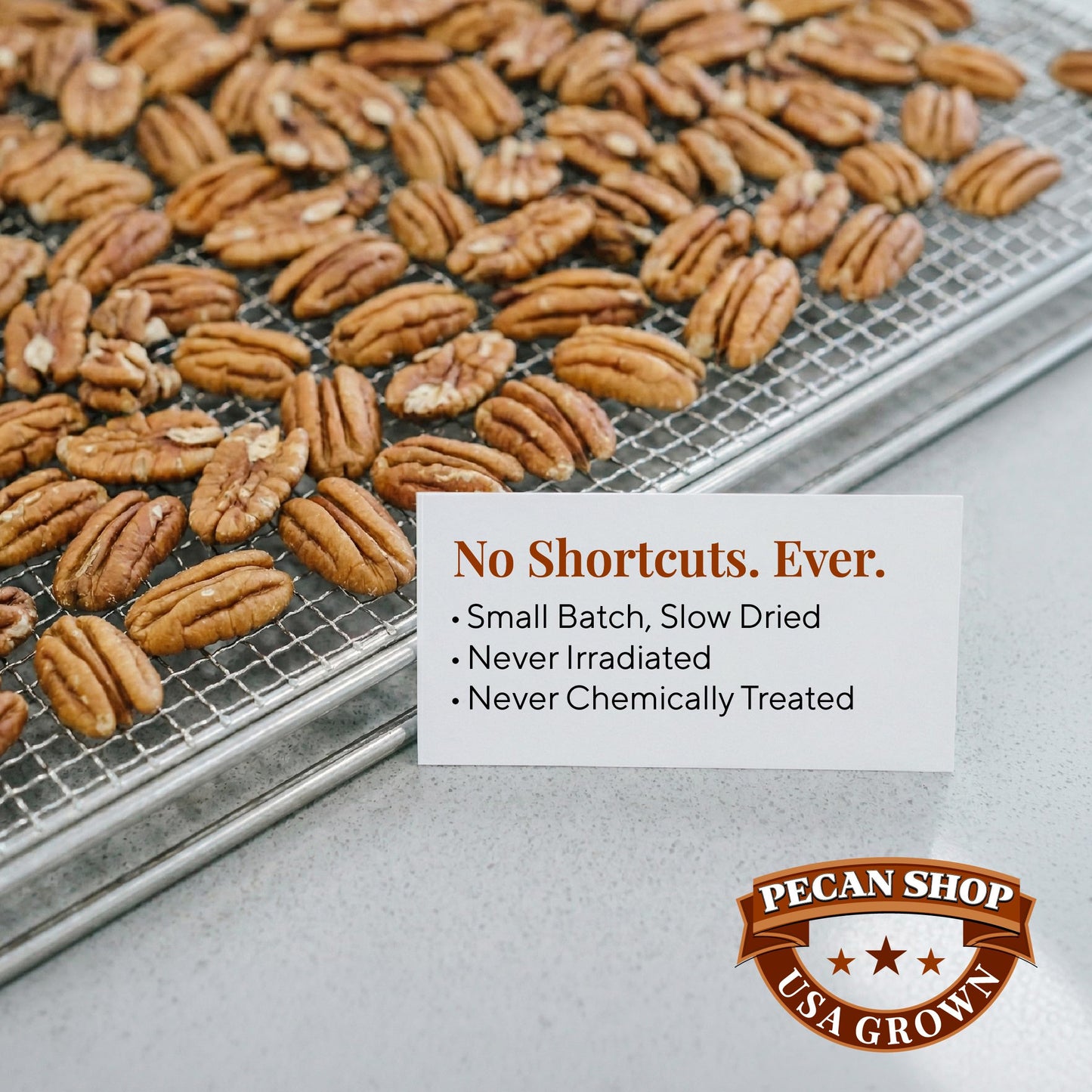 Pecans Unsalted Sprouted Organic Raw Pecan Shop 12 Ounce
