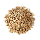Food to Live - Dry Roasted Sunflower Seed Kernels with Himalayan Salt, 8 Ounces - Oven Roasted Lightly Salted, No Shell, Vegan, Kosher, Bulk.