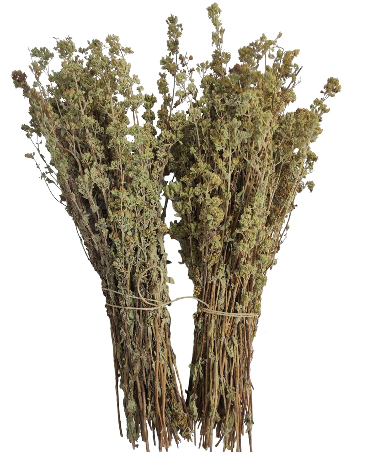 Oregano Bunches 2oz bag | Imported from Greece | Aromatic Herbs
