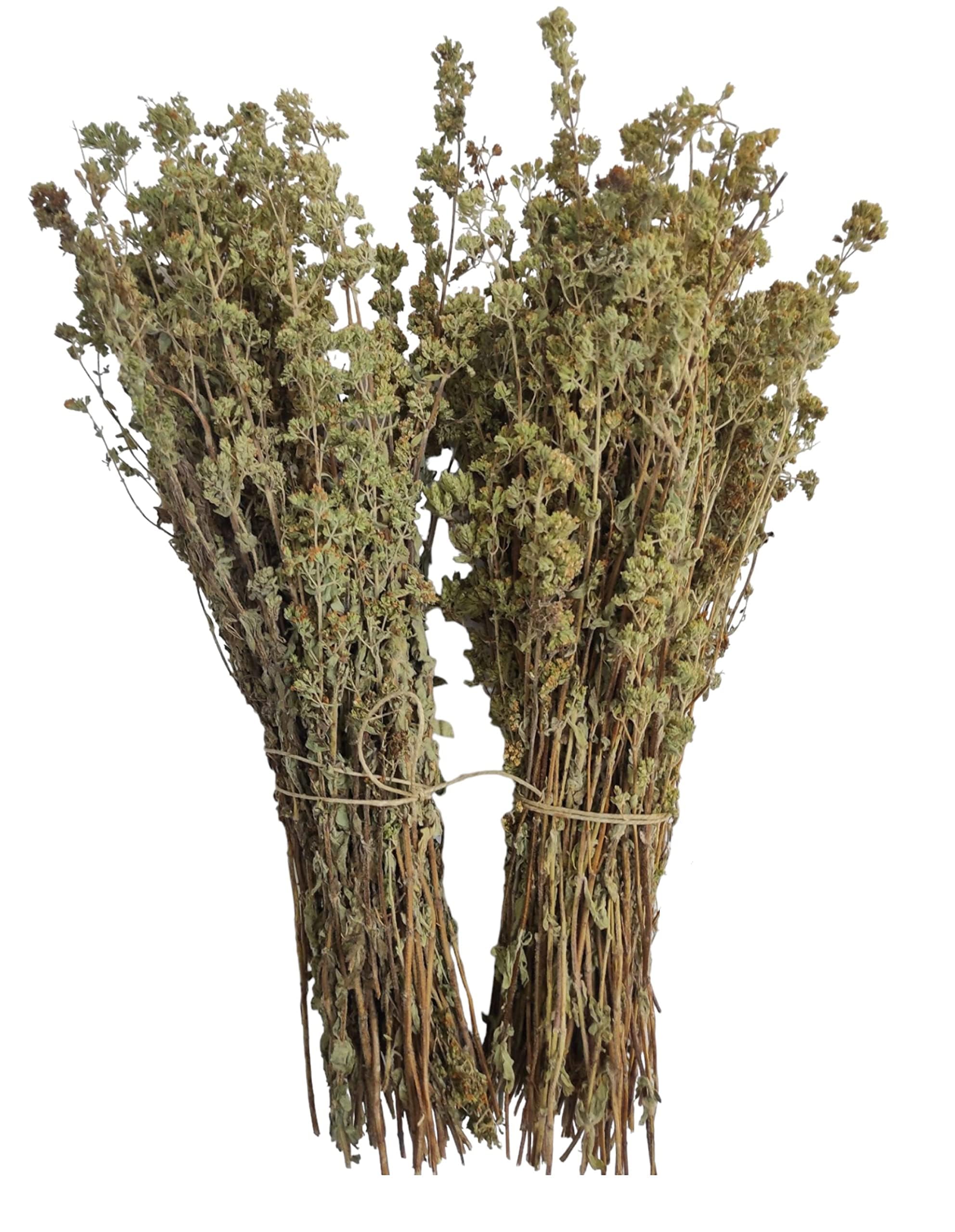 Oregano Bunches 2oz bag | Imported from Greece | Aromatic Herbs
