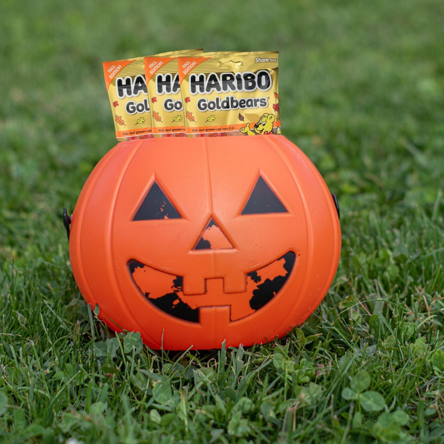 Haribo Goldbears Fall Edition - Pack of 3 Bags (4 oz Each) - Red, Orange & Yellow Gummy Bears - Autumn Seasonal Candy - Fruity Chewy Treats for Fall