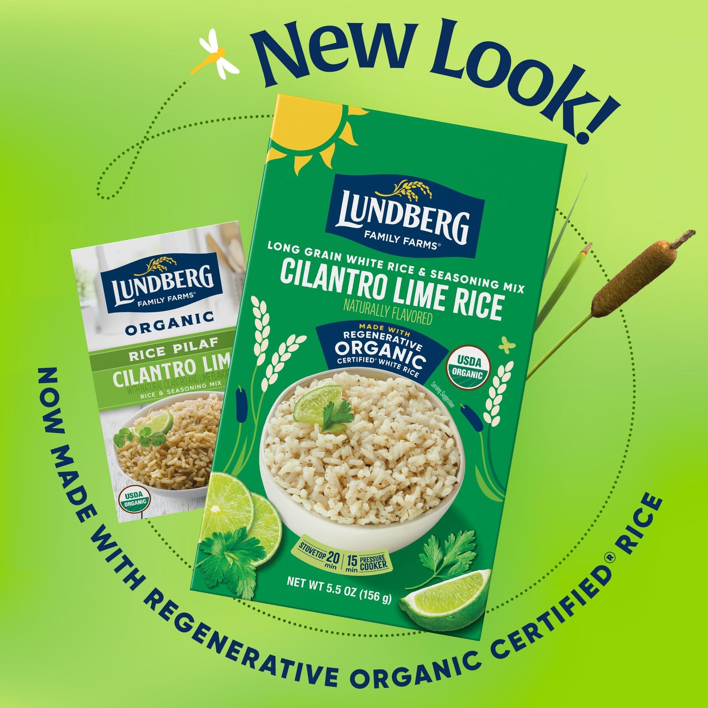 Lundberg Cilantro Lime White Rice 5.5 OZ