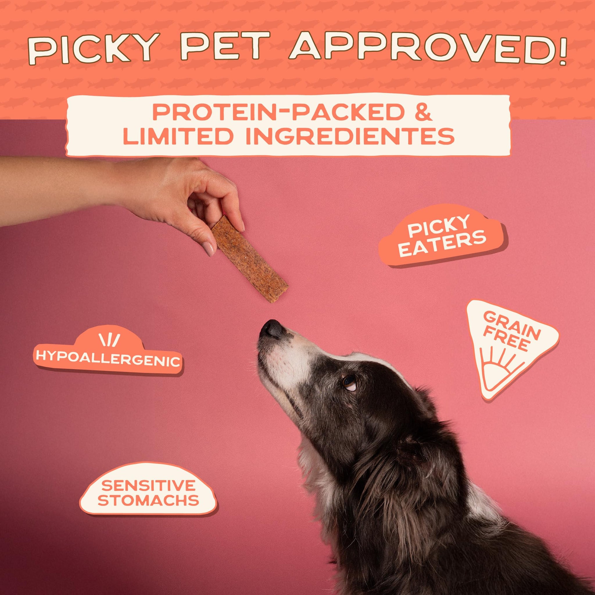 Smart Cookie Salmon Jerky Dog Treats - DHA & Omega Strips for Dogs & Puppies with Allergies, Sensitive Stomachs with Wild Caught Alaskan Salmon