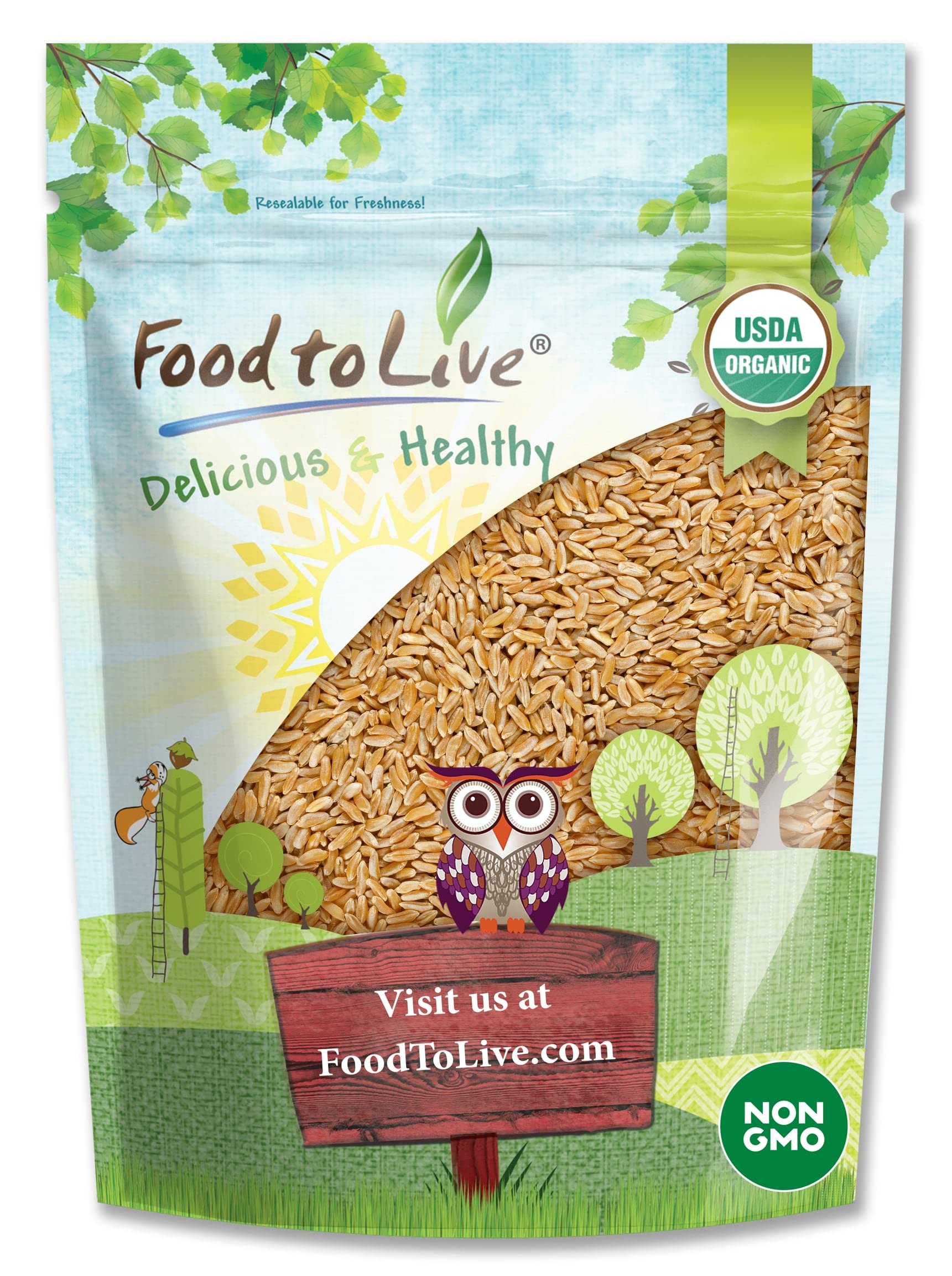 Food to Live Organic KAMUT Khorasan Wheat Berries, 3 Pounds - 100% Whole Grain, Sproutable for Wheatgrass, Non-GMO, Kosher, Bulk