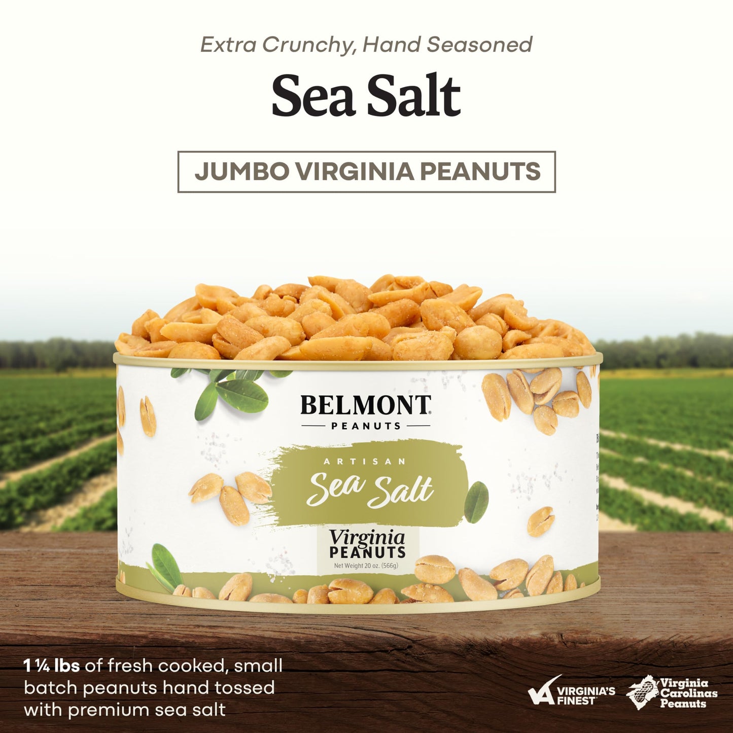 Belmont Peanuts Gourmet Sea-Salted Virginia Peanuts, 20 oz (1 Pack) - Only 3 Simple Ingredients, No Preservatives, 7g Protein - A Premium, Salty