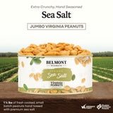 Belmont Peanuts Gourmet Sea-Salted Virginia Peanuts, 20 oz (1 Pack) - Only 3 Simple Ingredients, No Preservatives, 7g Protein - A Premium, Salty