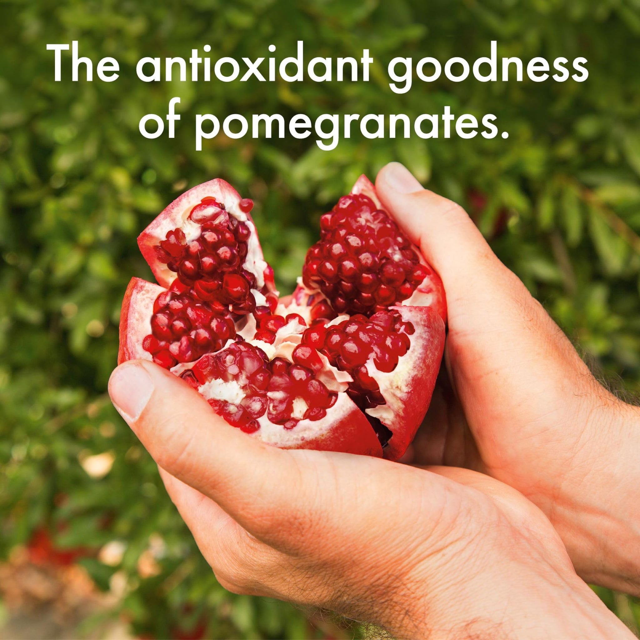 POM Wonderful Antioxidant Superpower Pomegranate Blueberry 100% Juice 16 fl oz (Pack of 6)