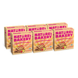 Nature's Bakery Oatmeal Crumble Bars, Raspberry Lemon, Real Fruit, Vegan, Non-GMO, Breakfast Bar, 6 boxes with 6 twin packs (36 twin packs)