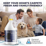 CarpetGeneral Carpet Traffic Lane Cleaner 4106 - Concentrated Carpet Pre Treatment Stain Remover - Incredible Stain Remover - Ideal for Industrial