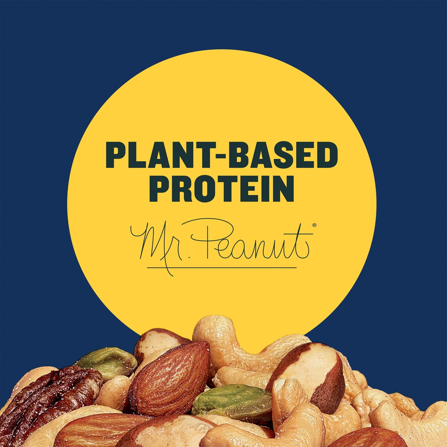 PLANTERS Pistachio Nuts Lovers Nut Mix with Pistachios no shell, Almonds & Cashews, Party Snacks, Plant-Based Protein, After School Snack, Bulk Nuts