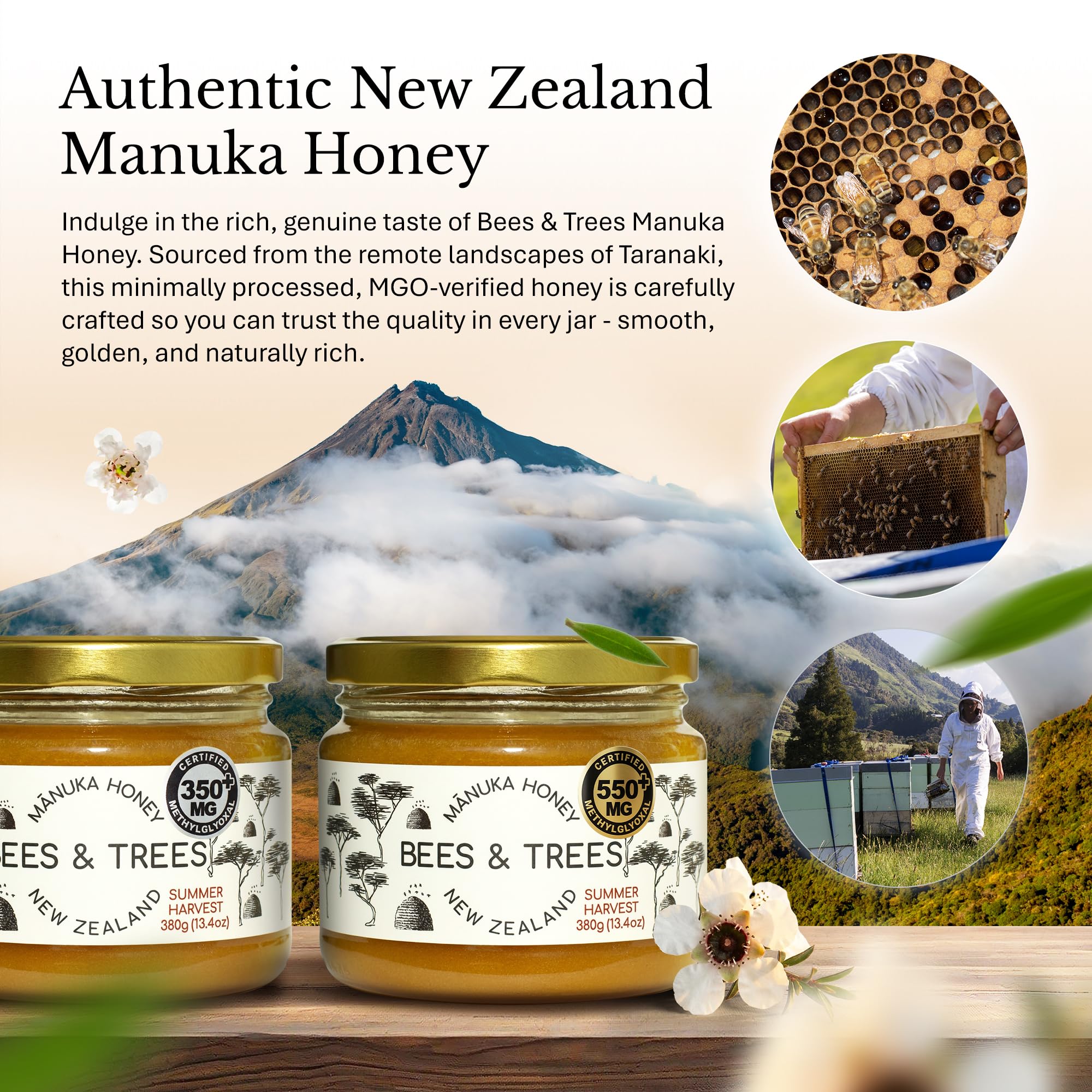 Bees & Trees New Zealand Manuka Honey - 550+ & 350+ MGO - Pure, Unpasteurized Monofloral Premium Superfood Raw Honey, Daily Wellness & Vitality