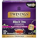 Twinings Blackcurrant Breeze Black Tea Individually Wrapped Bags, 100 Count (Pack of 1), Sweet, Tangy Taste, Caffeinated, Enjoy Hot or Iced, 100