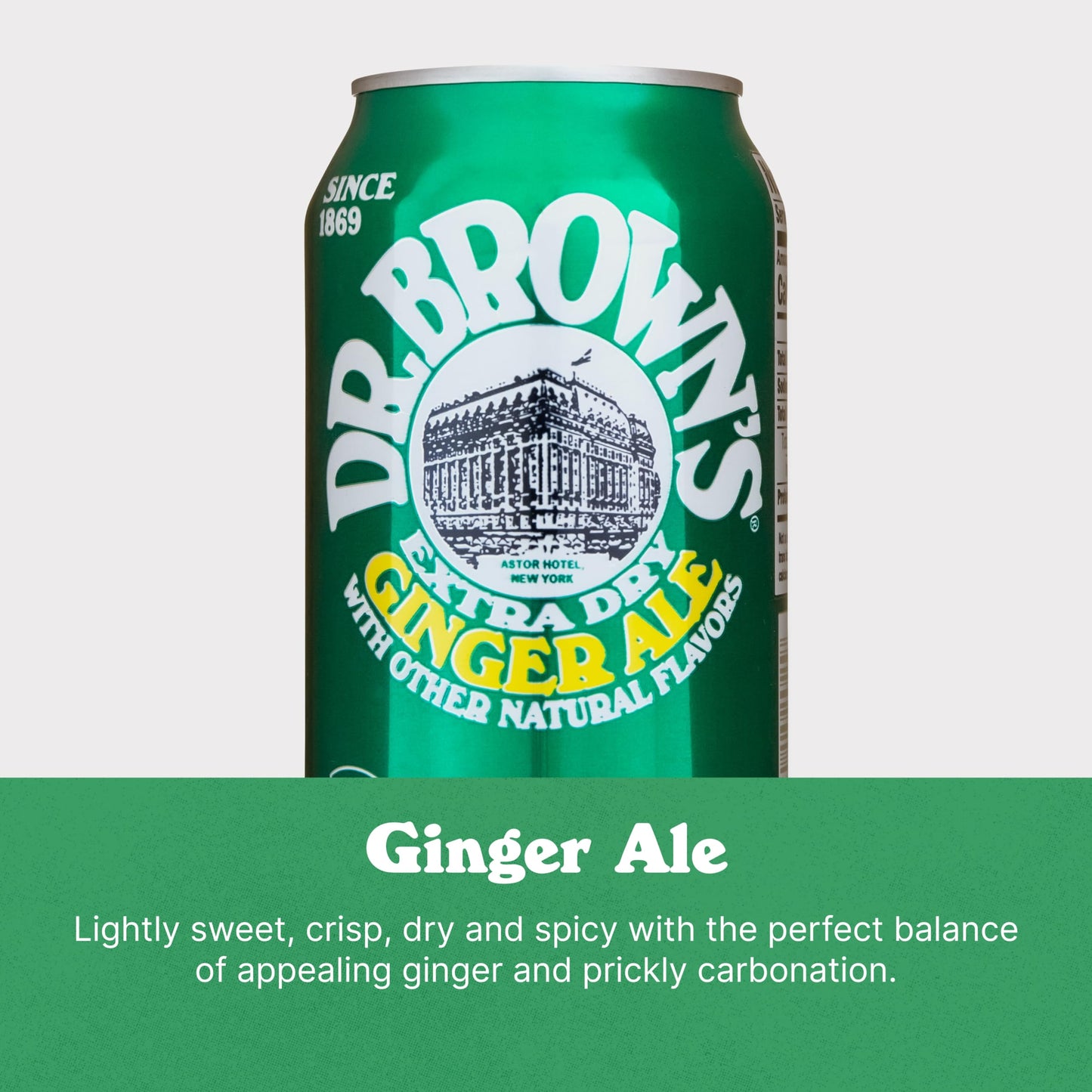 Dr. Brown's Ginger Ale Soda - A New York Original - 24 Cans of Refreshing, Kosher, Gourmet Soda Pop - Ginger Ale Soda - 24 x 12 oz Cans