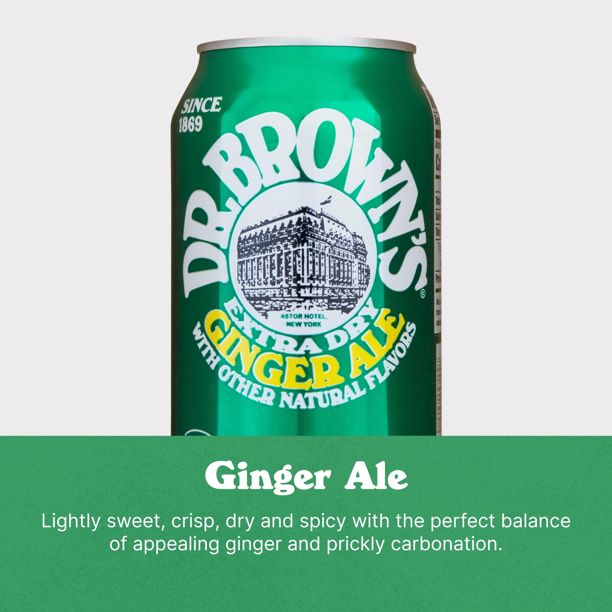 Dr. Brown's Ginger Ale Soda - A New York Original - 24 Cans of Refreshing, Kosher, Gourmet Soda Pop - Ginger Ale Soda - 24 x 12 oz Cans