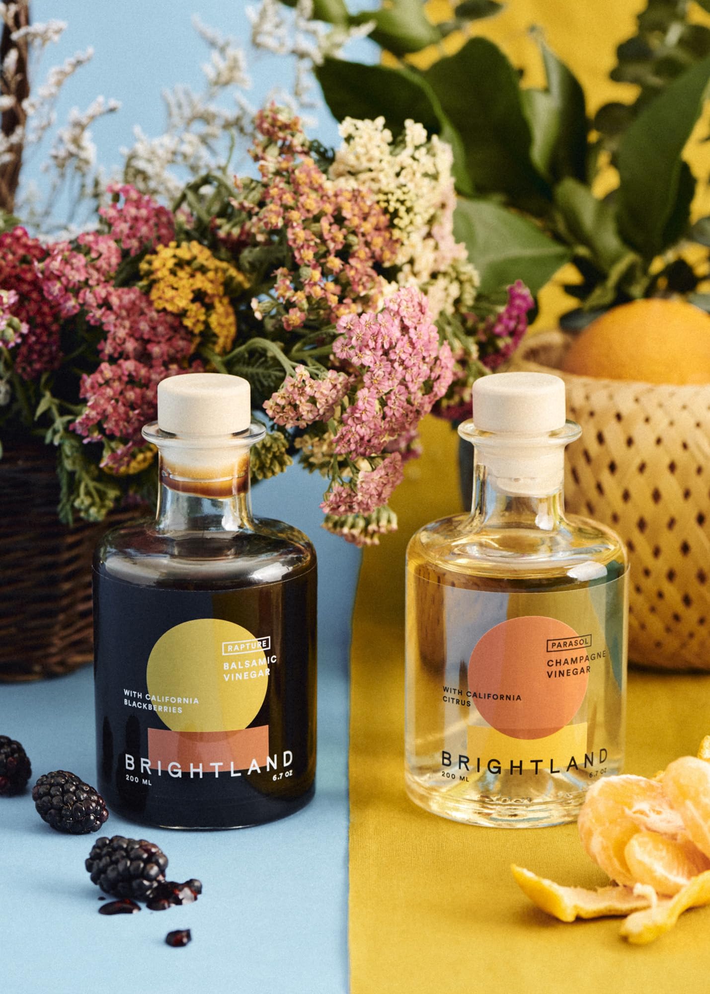 Brightland The Vinegar Duo, Set of Two - Balsamic Vinegar & Champagne Vinegar, Artisinal Vinegars Perfect for Salad Dressings, Marinades, Cooking