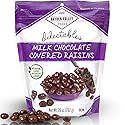 Hayden Valley Foods Milk Chocolate Covered Raisins | 26 oz Resealable Bag | No Artificial Flavors, Preservatives or Colors | Bulk Gourmet Sweet Fruit