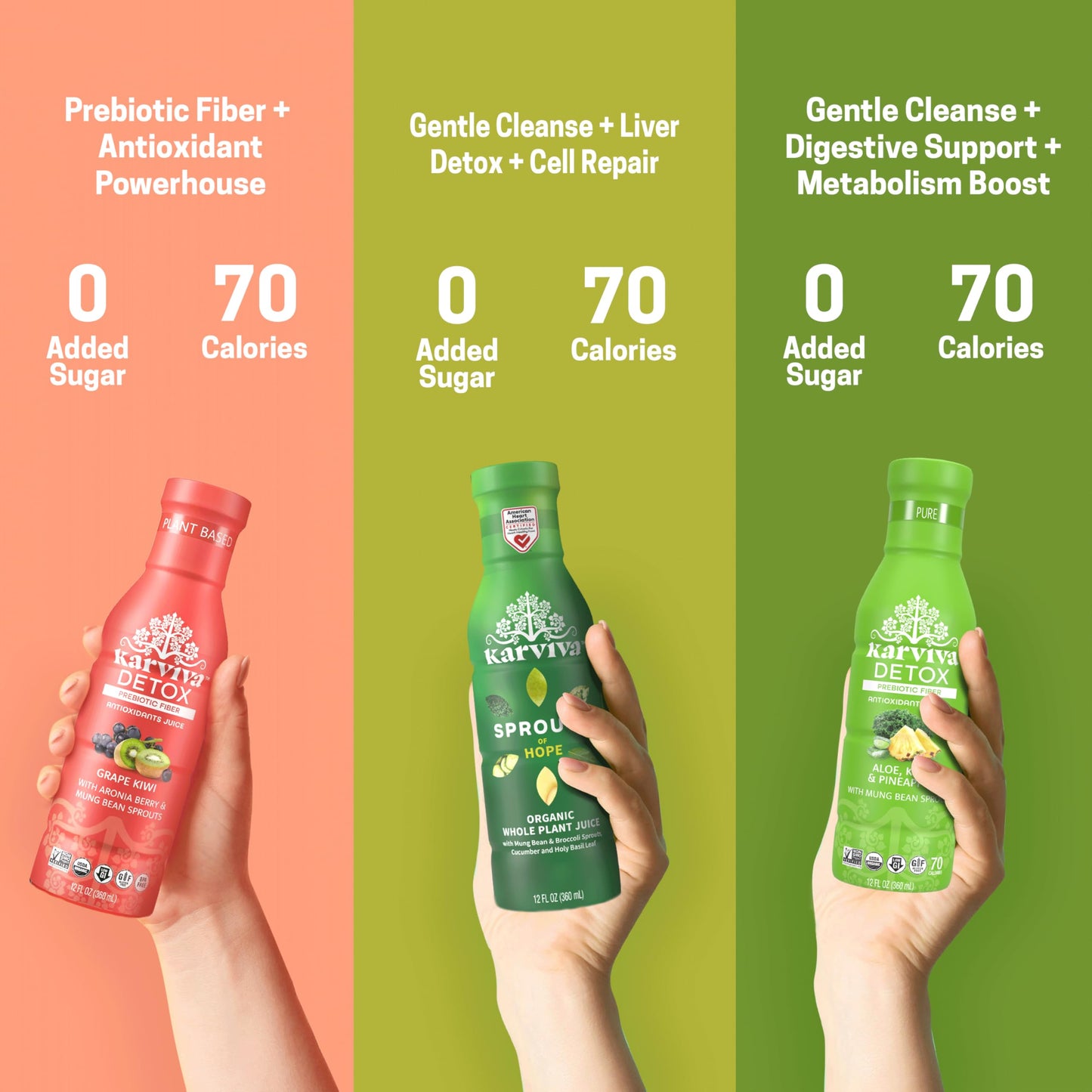 Karviva Organic Juice Cleanse for Sugar Detox & Weight Control - Ancient Eastern Remedies for Healthy Digestion & Gentle Detox with Sprouts, Aloe Vera
