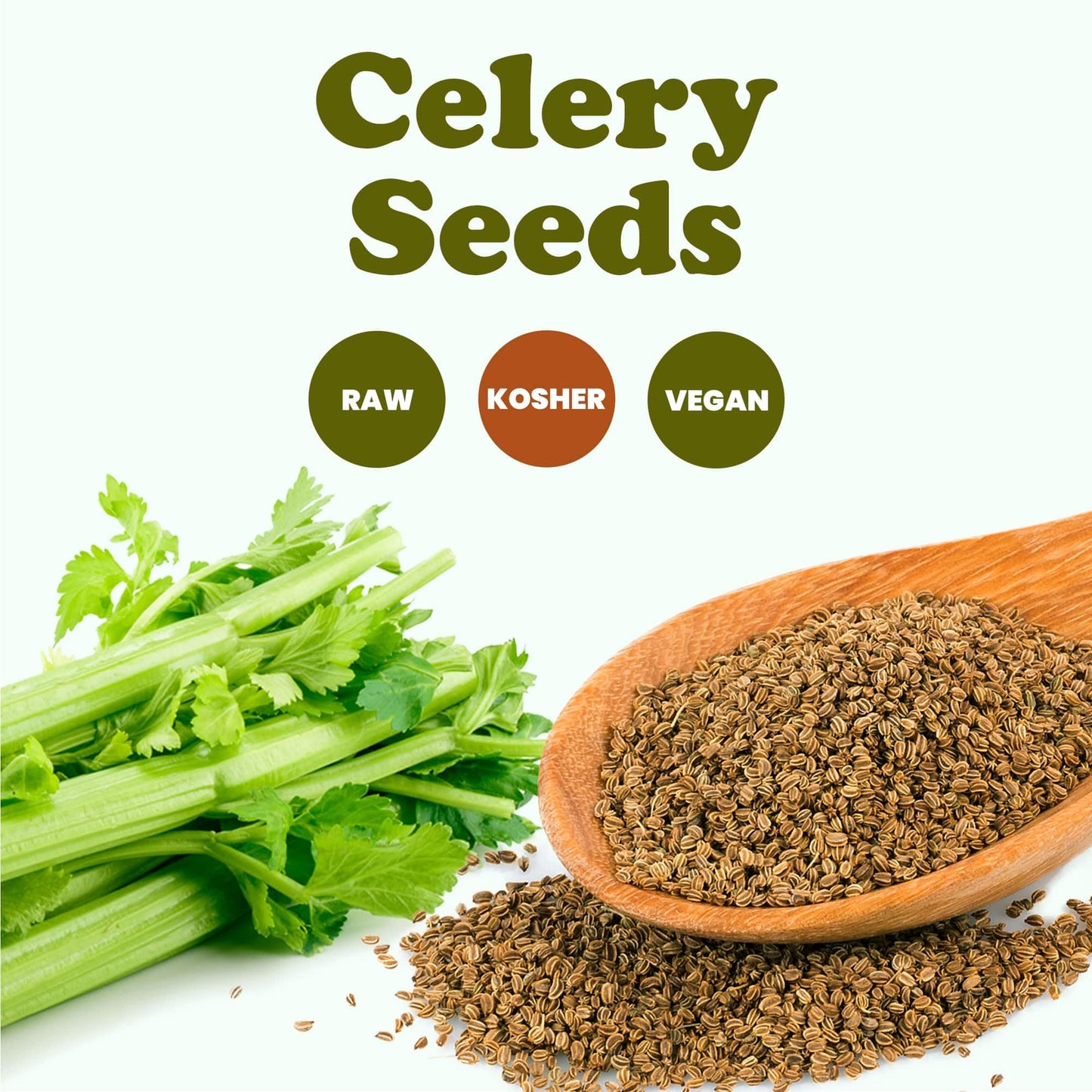 Food to Live Whole Celery Seeds, 1 Pound - Dried Spice, Vegan, Kosher, Bulk. Intense Flavor. Rich in Iron, Zinc, Fiber. Perfect for Pickling