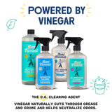 Aunt Fannie's Toy and Highchair Cleaner, Hypoallergenic, Multi-Purpose Spray Powered by Vinegar for Toys, High Chairs, Car Seats, Swings, Counters