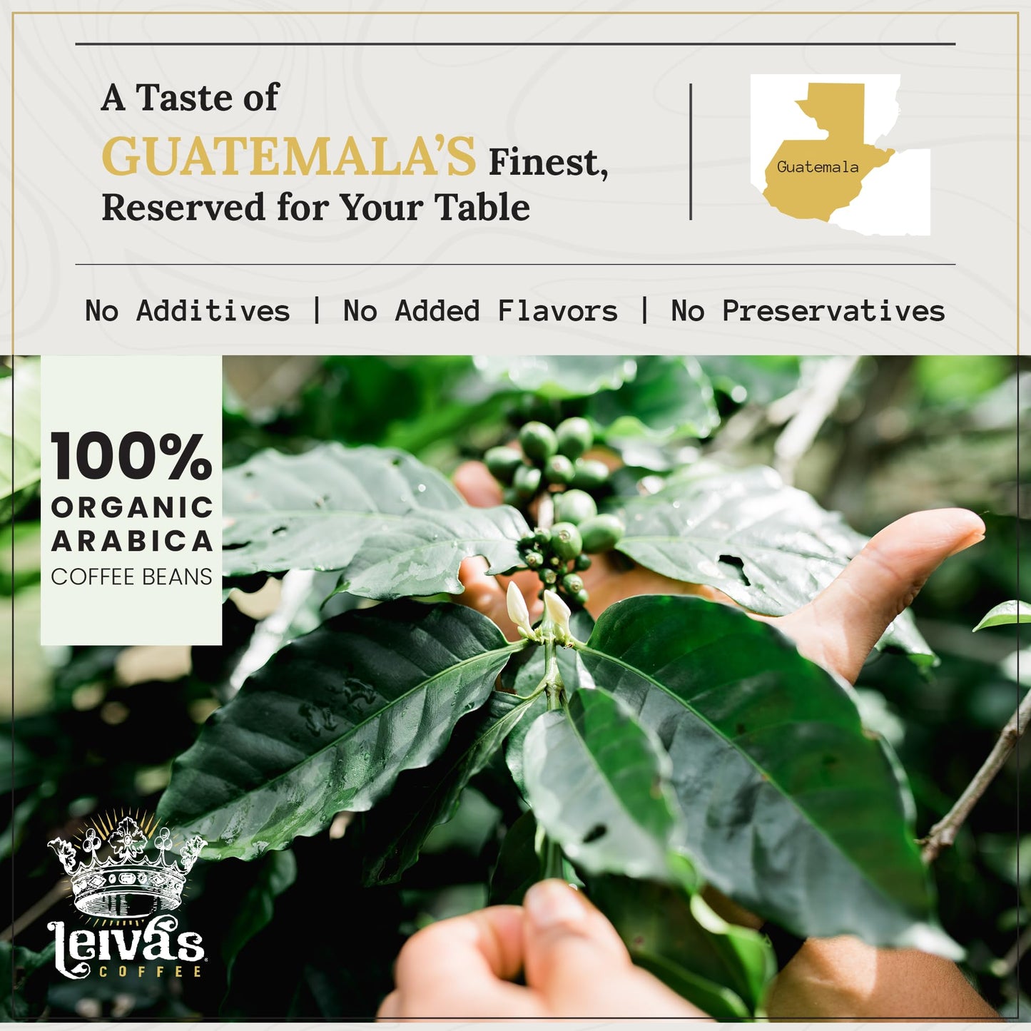 Leiva’s Breakfast Blend Medium Roast Coffee (8oz), Freshly Roasted, Small Batch Guatemalan Beans - Organic Single Origin Coffee Ground - Low Acidity