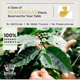 Leiva’s Breakfast Blend Medium Roast Coffee (8oz), Freshly Roasted, Small Batch Guatemalan Beans - Organic Single Origin Coffee Ground - Low Acidity