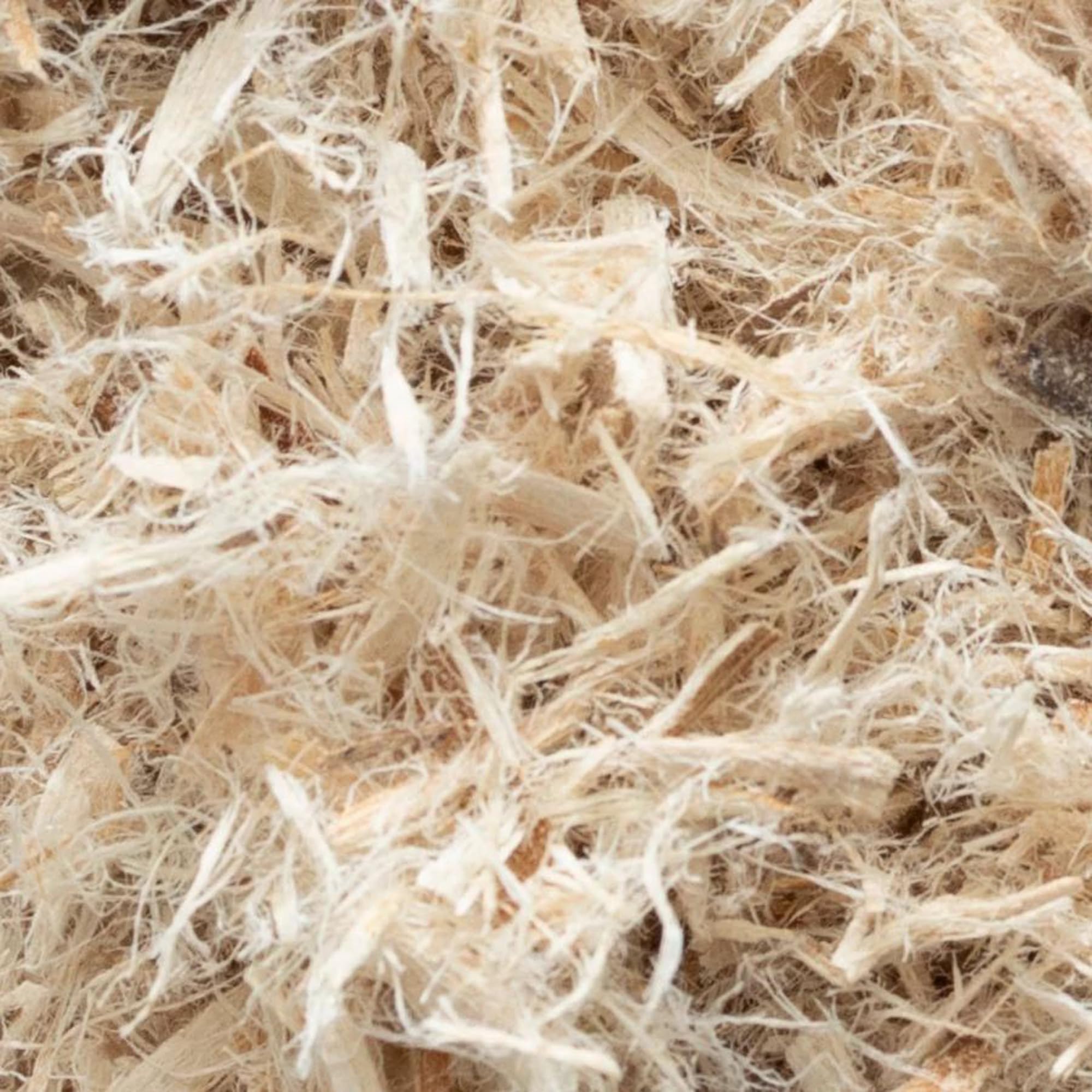 Frontier Co-op Bulk Slippery Elm Inner Bark Cut and Sifted, 1 Pound
