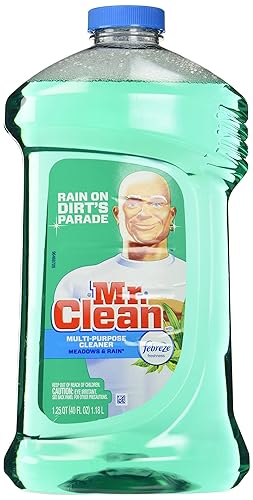 Mr. Clean 40 Ounce