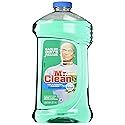 Mr. Clean 40 Ounce
