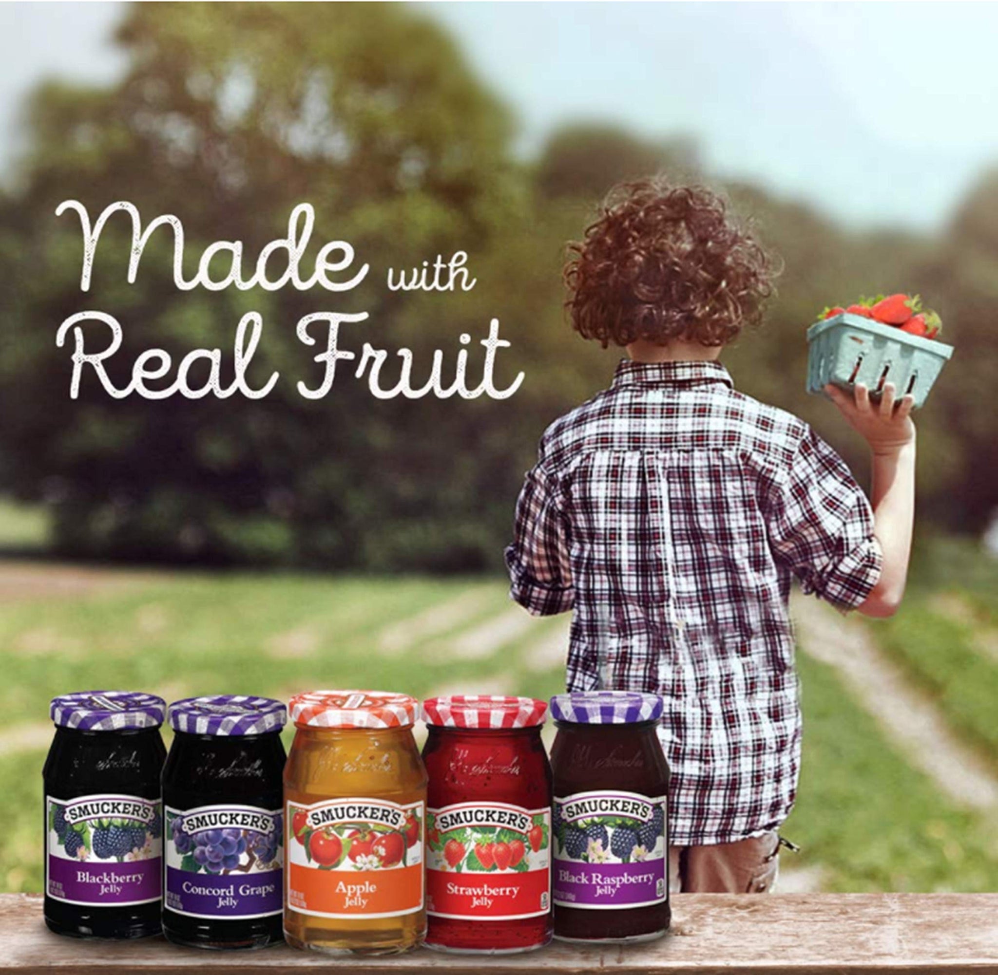 Smucker's Concord Grape Jelly, 12 Ounces