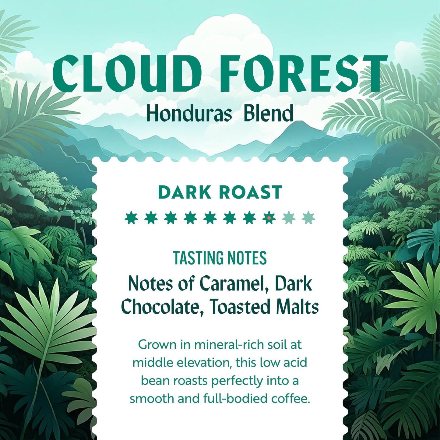 Clean Coffee Co. - Low Acid Dark Roast, Tested for Molds and Toxins, Honduras Blend, Notes of Caramel, Dark Chocolate, and Toasted Malts (Ground, 12