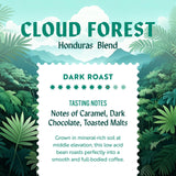 Clean Coffee Co. - Low Acid Dark Roast, Tested for Molds and Toxins, Honduras Blend, Notes of Caramel, Dark Chocolate, and Toasted Malts (Ground, 12