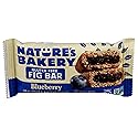 Natures Bakery Bar Fig Gluten Free Blueberry, 2 oz