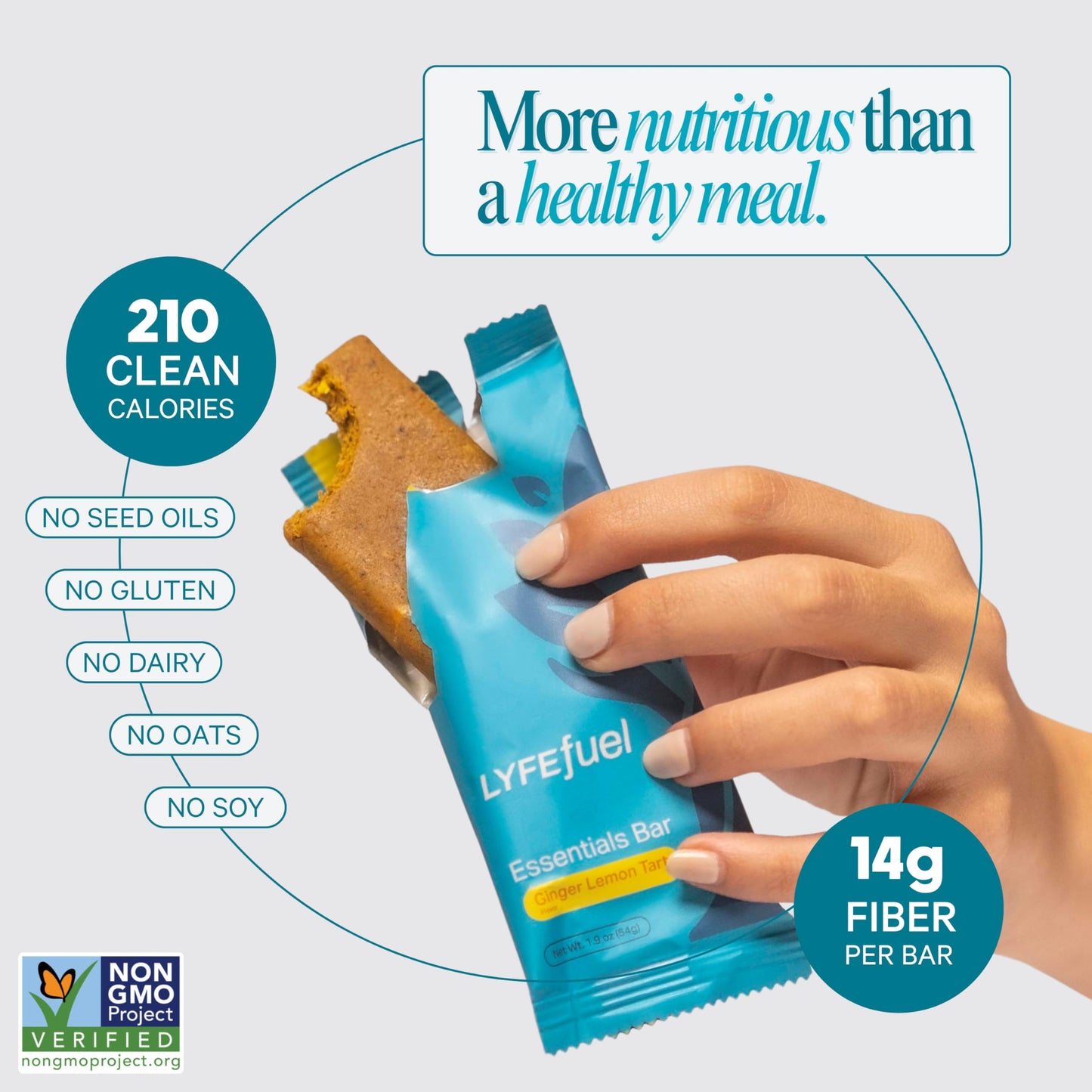 LyfeFuel Essential High Protein Bars | Meal Replacement, Vegan, 12g Plant-Based Low Carb Protein Bars for Intermittent Fasting - High Fiber, MCT Oil