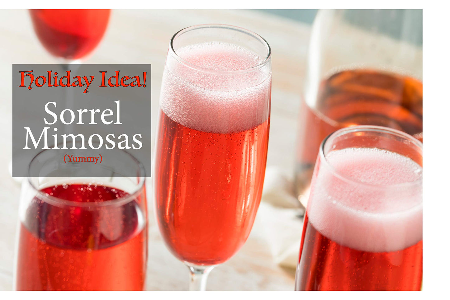 Premium Sorrel (5 pack) Hibiscus Flower Whole Petal 3 Oz (pack of 5) - Flor de Jamaica, Zobo Flower perfect for Tea and Mexican Agua Fresca - Makes