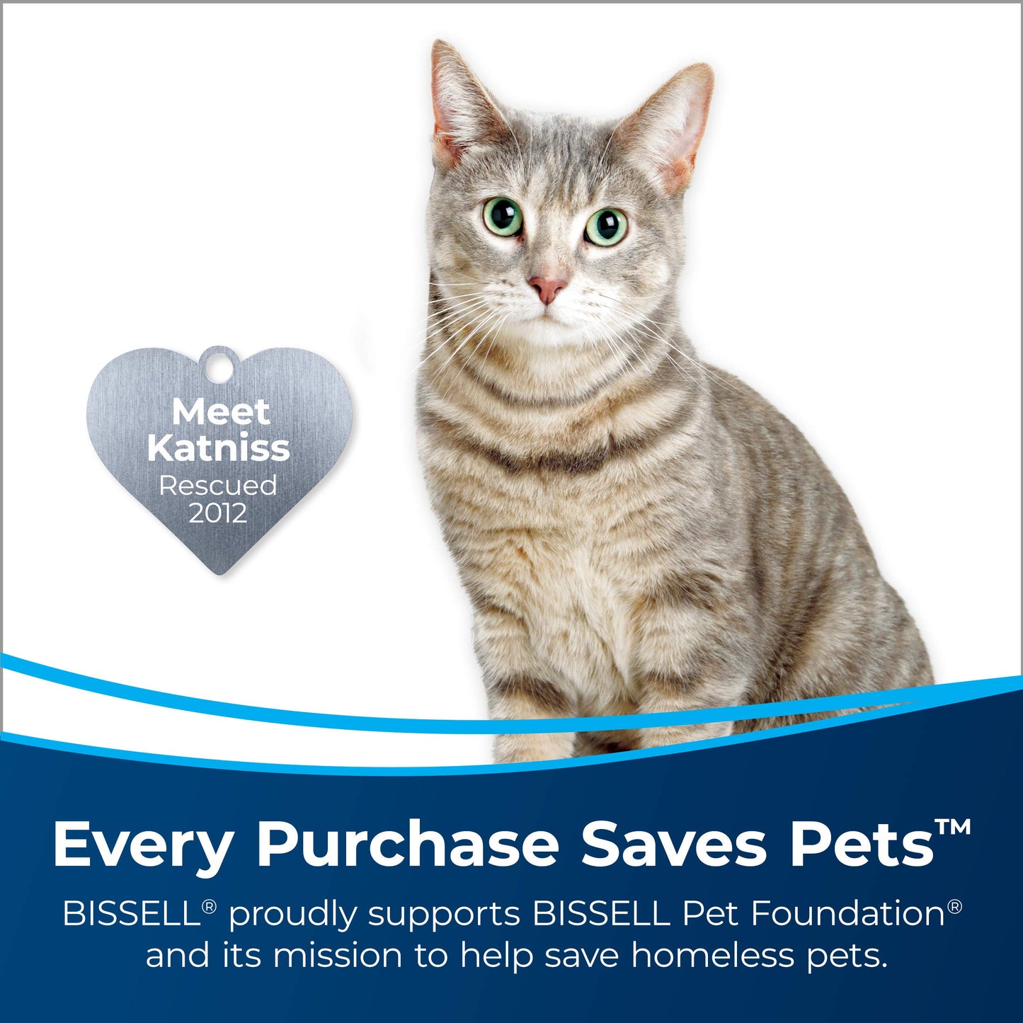 Bissell Pet Stain & Odor Remover + Sanitize Formula, 22 oz, 2 Pack, 11299