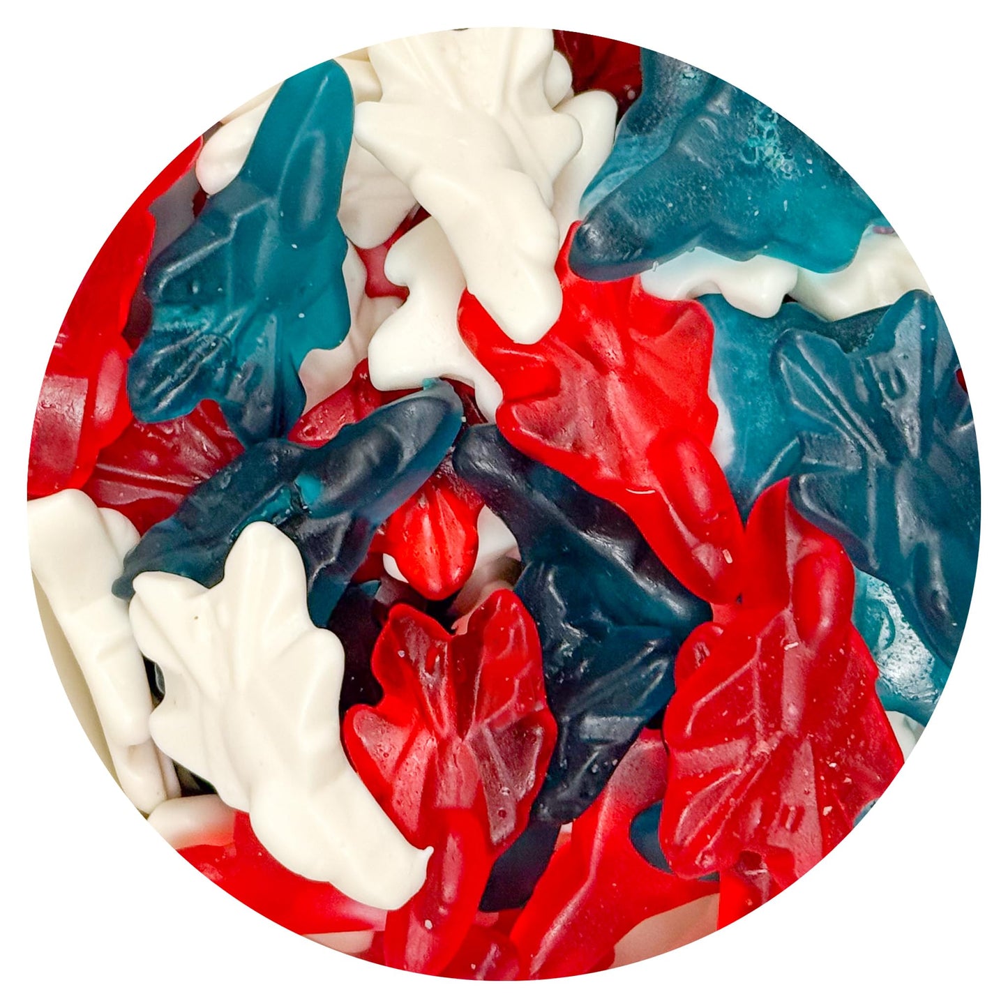 Red, White & Blue Candy Airplane Gummies, 1 Pound Bulk Bag, Patriotic Candy, The Hampton Candy Company
