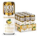 Focus Factor Energy Drink - 12 x 355ml Cans (Pineapple Paradise Flavor) - with Focus + Energy - Lightly Carbonated, Sugar Free, Low Calorie