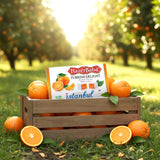 HazerBaba Turkish Delight Candy Orange, 16 Oz (Pack of 1), Vegan Snack Box