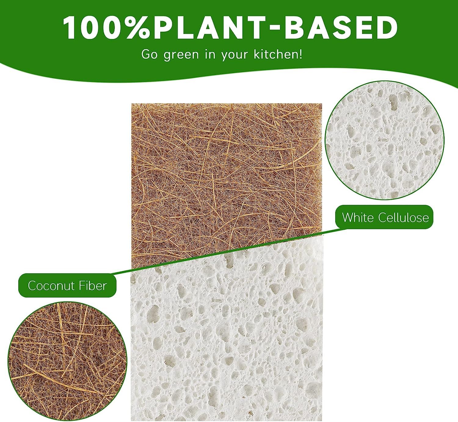 Graham & Ash Co Natural Kitchen Sponge - Biodegradable Compostable Cellulose and Coconut Scrubber - Pack of 10 Eco Friendly Sponges