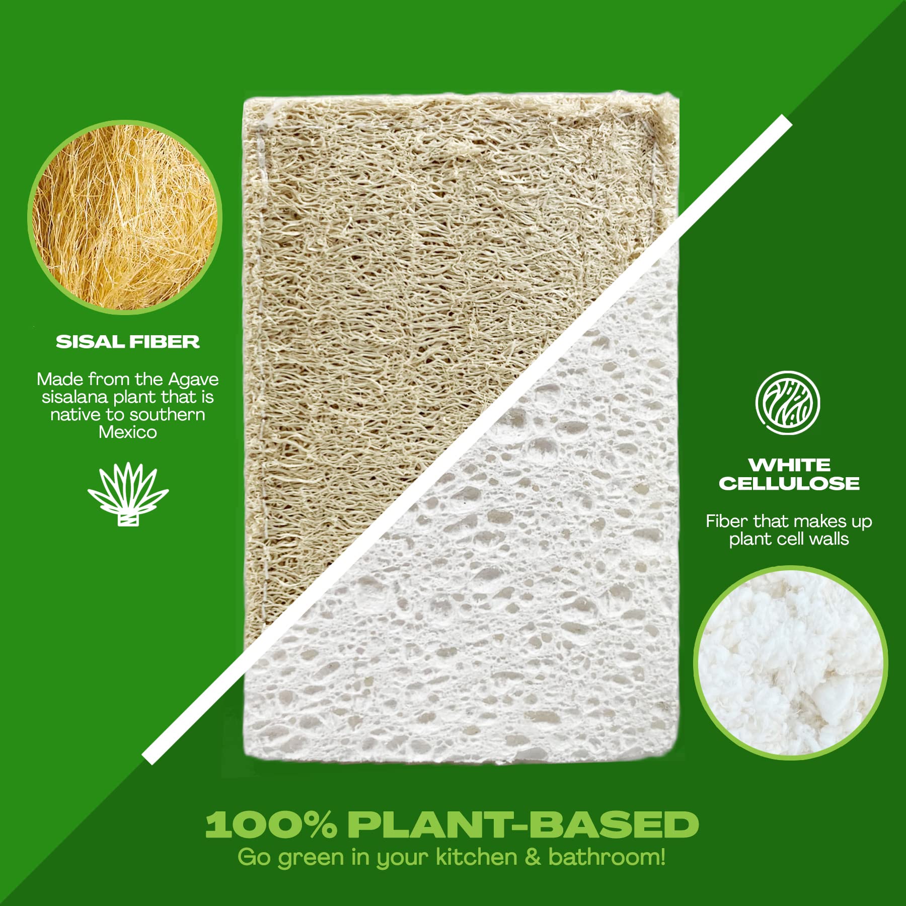 June Lily Natural Kitchen Dish Sponge Vegan Plant-Based for Dish Washing Home Cleaning - Each Pack Contains 2 Sponges (1 Pack)