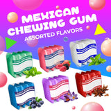 Mexican Chewing Gum | 1 Pound Bag - 90 Count | Assorted Flavors Gum in Violet, Fruit, Mint & Cinnamon | Individually Wrapped Gum Bulk | Fun Mini Packs