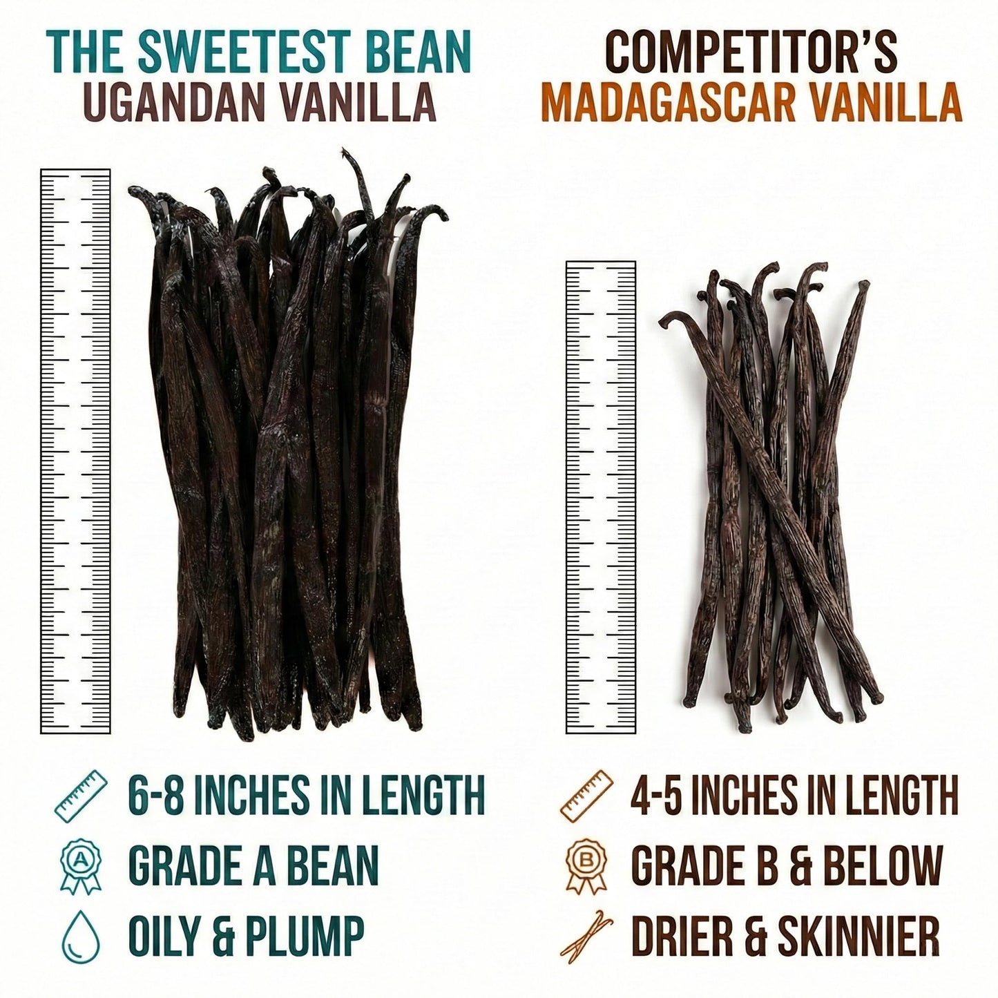 Grade A Ugandan Vanilla Beans - Plump, Moist, Oily & Fresh - Perfect for Baking, Extracts & Desserts - Pack of 25