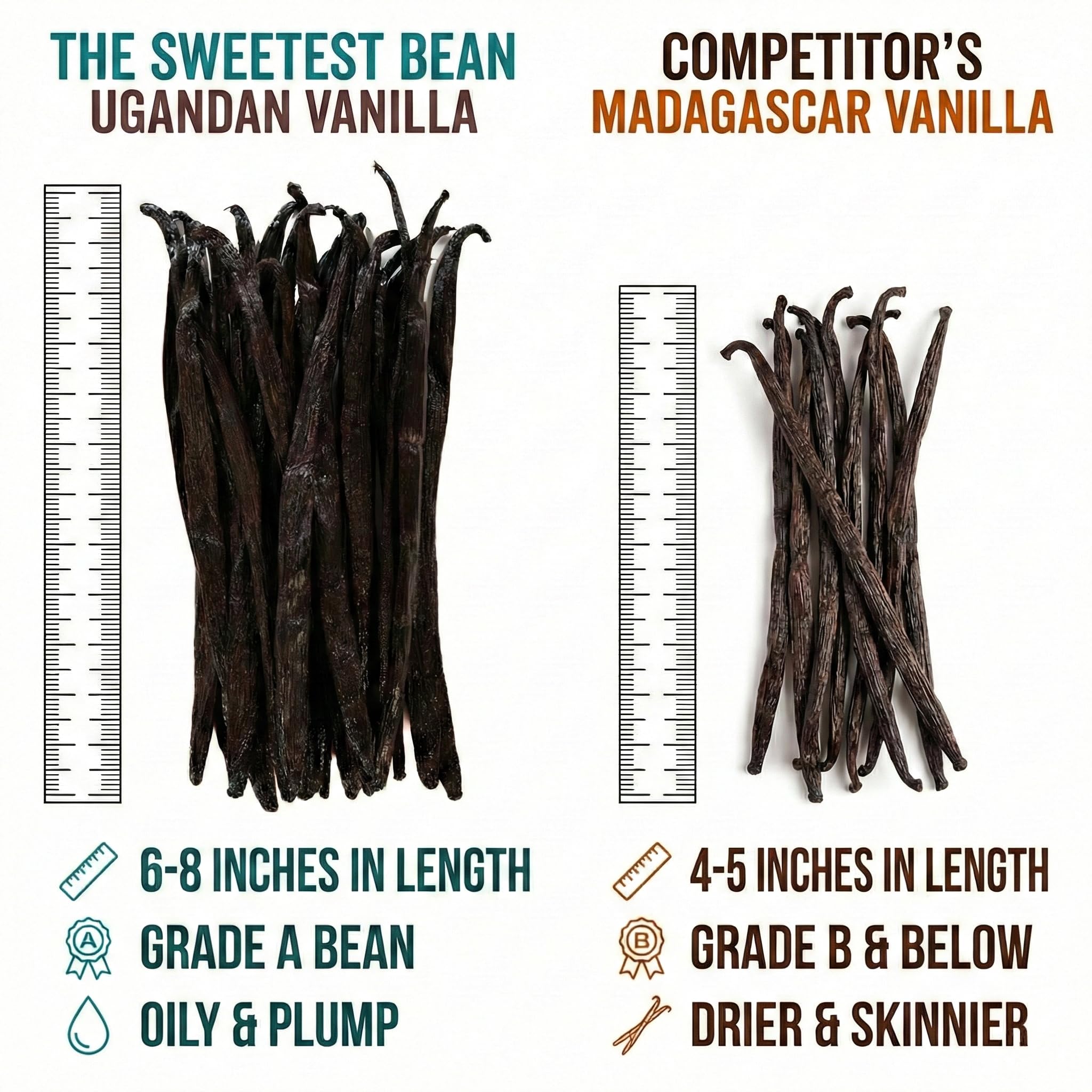 Grade A Ugandan Vanilla Beans - Plump, Moist, Oily & Fresh - Perfect for Baking, Extracts & Desserts - Pack of 25