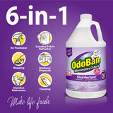 OdoBan Ready-to-Use Disinfectant and Odor Eliminator, Made in the USA, Lavender Scent, Set of 2, 32 oz Spray and 1 Gallon Concentrate