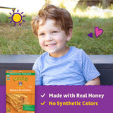 Annie’s Homegrown Organic Honey Graham Cracker Bricks 14.4 oz (Pack of 4)